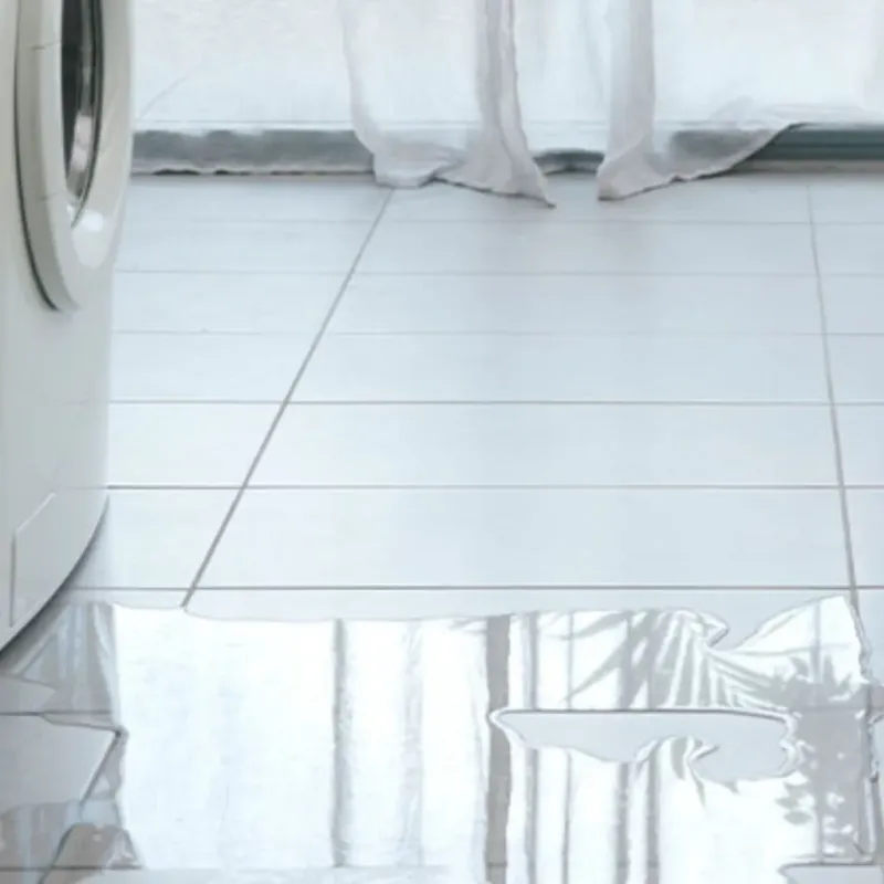 Appliance Leak Cleanup in Childersburg, AL
