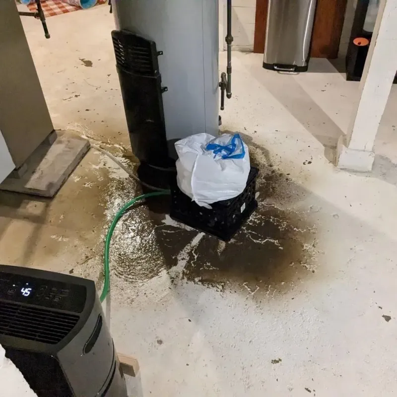Sewage Backup Cleanup Service in Childersburg, AL